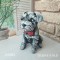 LY0094 PAPYONLU KÖPEK BİBLO